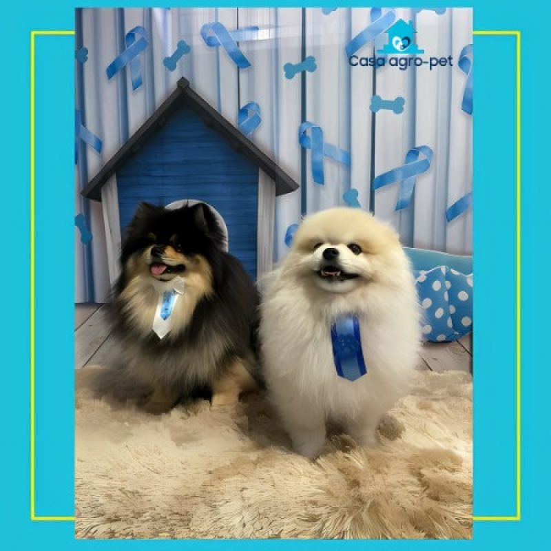 466684657_1038450914958751_8901780398596697254_n