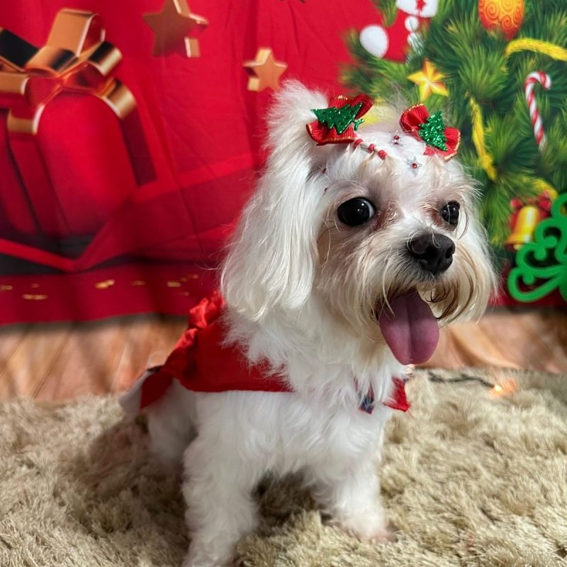 469572056_1056313623172480_196777406249079221_n