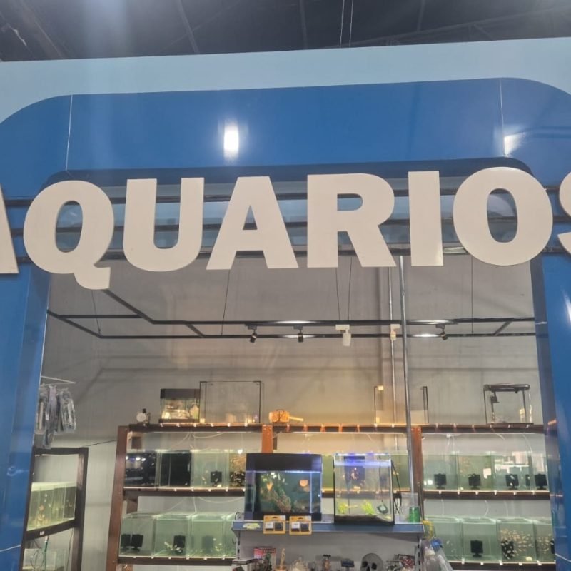 e0e87ed6-57ce-4d39-8113-685b066602c4